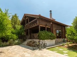 Bright and cozy cottage near the sea