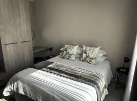 The Grey Oasis