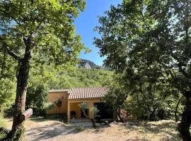 cozy Home stay