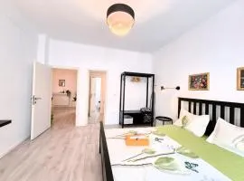 Downtown Spacious Retreat