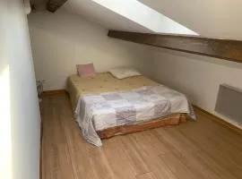 Colocation maison avec piscine vélodrome