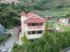 KRS松树宾馆