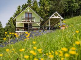 Domek na Fierkowskiej Dolinie，位于Mizerna的酒店