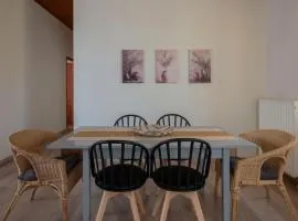 Aleka's traditional house