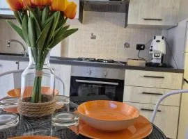 Factory 219 Apartment Guidonia