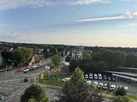 Rheiner Blick