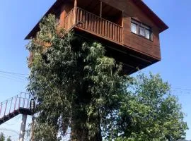 Trini Treehouse By GEstores