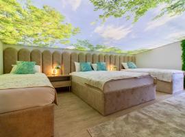 Apartman Monti Vla&scaron;ić，位于弗拉西克的宠物友好酒店