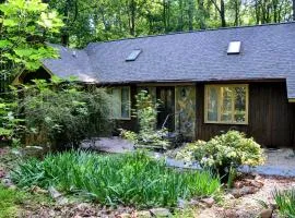 Cozy Cabin on 1 acre wooded lot - in Apex near Raleigh