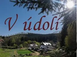 Pension V údolí v Jizerských horách