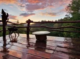 Beauty Wood House in The Forest