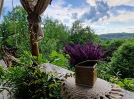 Mystically Wood House in The Forest，位于Cîrjari的酒店