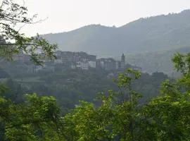 SemiVillage