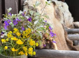 Gausta Lodge med elbillader, nærhet til Gaustatoppen Ski in ski out，位于Gaustablikk的酒店