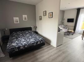 Gite relais du Château，位于Saint-Blancard的酒店