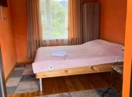 Parus Mini Hotel