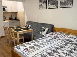 Pokoje gościnne Kozica