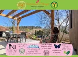 Domaine des 7 cépages