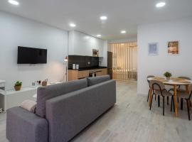 Suite Salengro Gare de Vaise WIfi，位于Vaise的酒店
