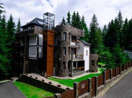 Castelul de Piatra，位于珀尔蒂尼什的Spa酒店