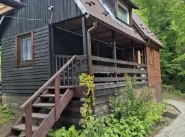 Duży drewniany domek nad rzeką, Obidza 381, Łącko