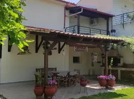 Diogenis villa