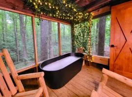 Good Times cabin at Cabin Fever in NC