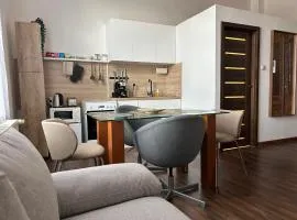 Apartman Hasičská