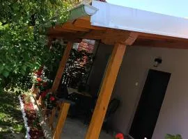 Apartmani Petrović