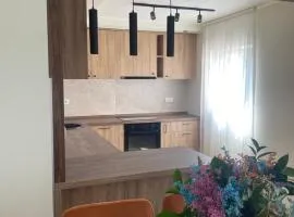 Apartmani Radmanovic