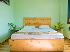 Riddhi Homestays Dharampur