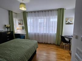 Central Chambers Suites Suite 3，位于利克的酒店