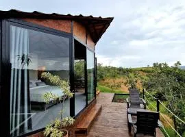 Tacuara House