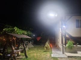 Casa Larisa，位于Bîrsău的酒店