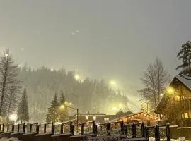 Alyeska Mountain Side Retreat!