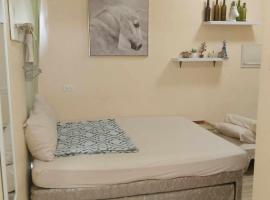 The Scandinavian Staycation，位于Mactan Island的酒店