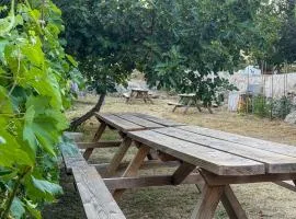 Voltera Apartments in Betina Old Town, with Parking Nearby