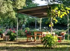 阿卡玛提斯乔治旅馆