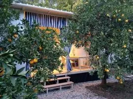 Citrrus bungalo 5 km to see