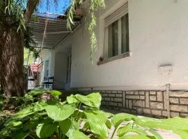 Fűzfás Apartman