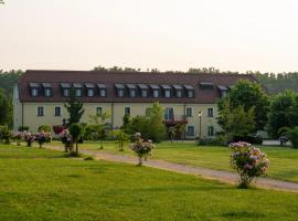 Hotel Dvorac Jurjevec，位于Lekenik的酒店
