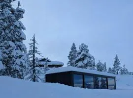 Modern Cabin By Snøhetta At Blefjell