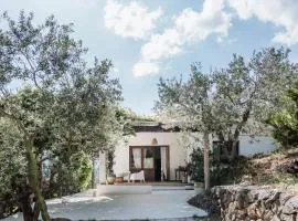CASA FUILE by casa-orosei