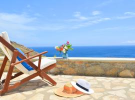 Vasiliki's Sea View Villa Mykonos，位于卡拉法蒂斯的酒店