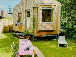 Tiny House By The Lake And An Artist Collective