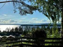 Family Cabin With Panoramic Views Of Tyrifjorden，位于Nes的酒店