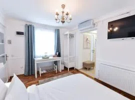 Casa Baritiu - budget