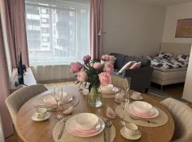 Comfy home, moottorisänky, kuivausrumpu, wifi