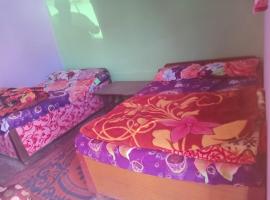 Ansh Negi homestay，位于Sari的酒店