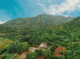 Aloof Jungle Lodge